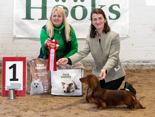 Vårutställningen i Surahammar 2026