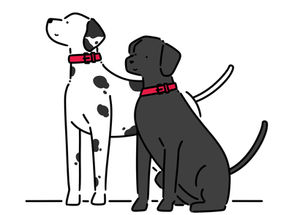 【okinawa doggosペットホテル】看板イラスト