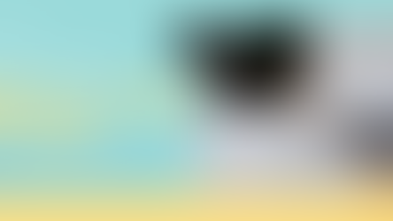 Wix Bookings:使用 Zoom 创建在线服务