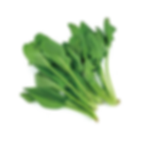 Spinach 1 unit
