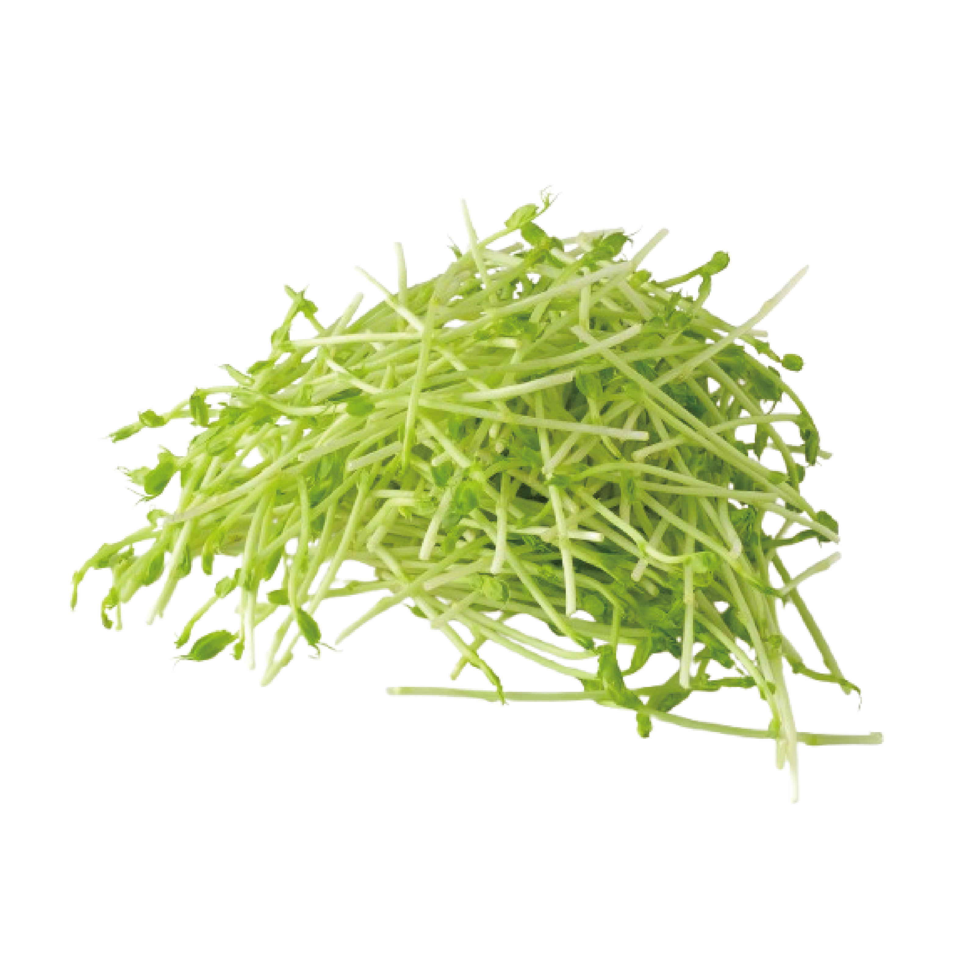 Bean Pea Shoots 3 bags