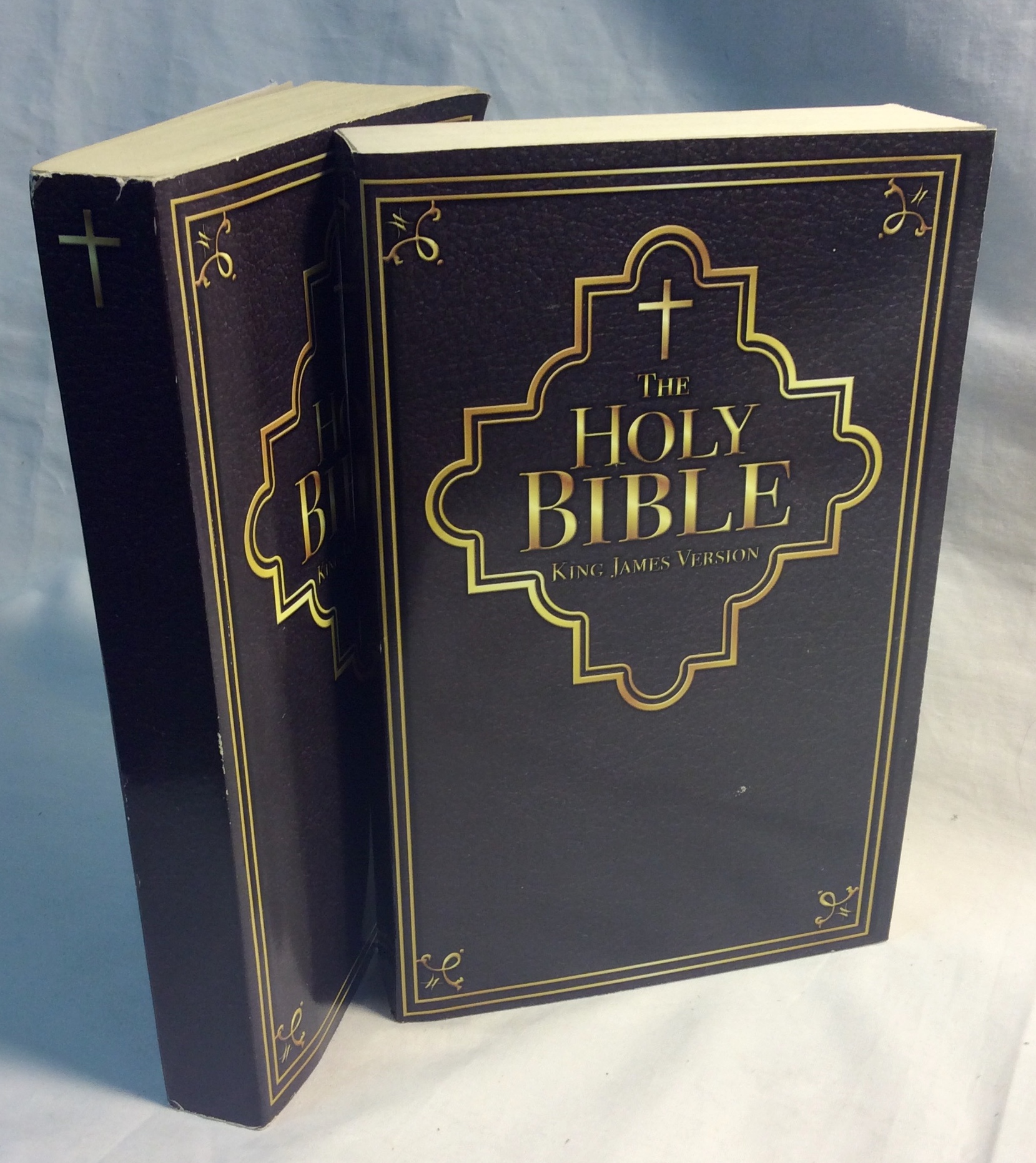 Paperback King James Bible