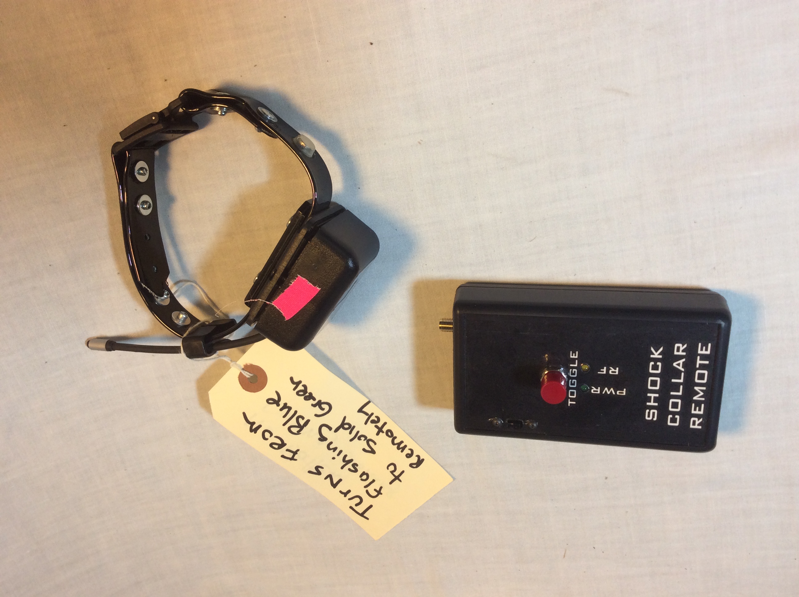 Shock Collar (with remote)