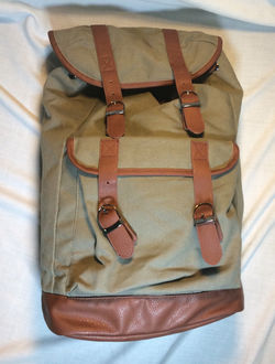 Olive green backpack