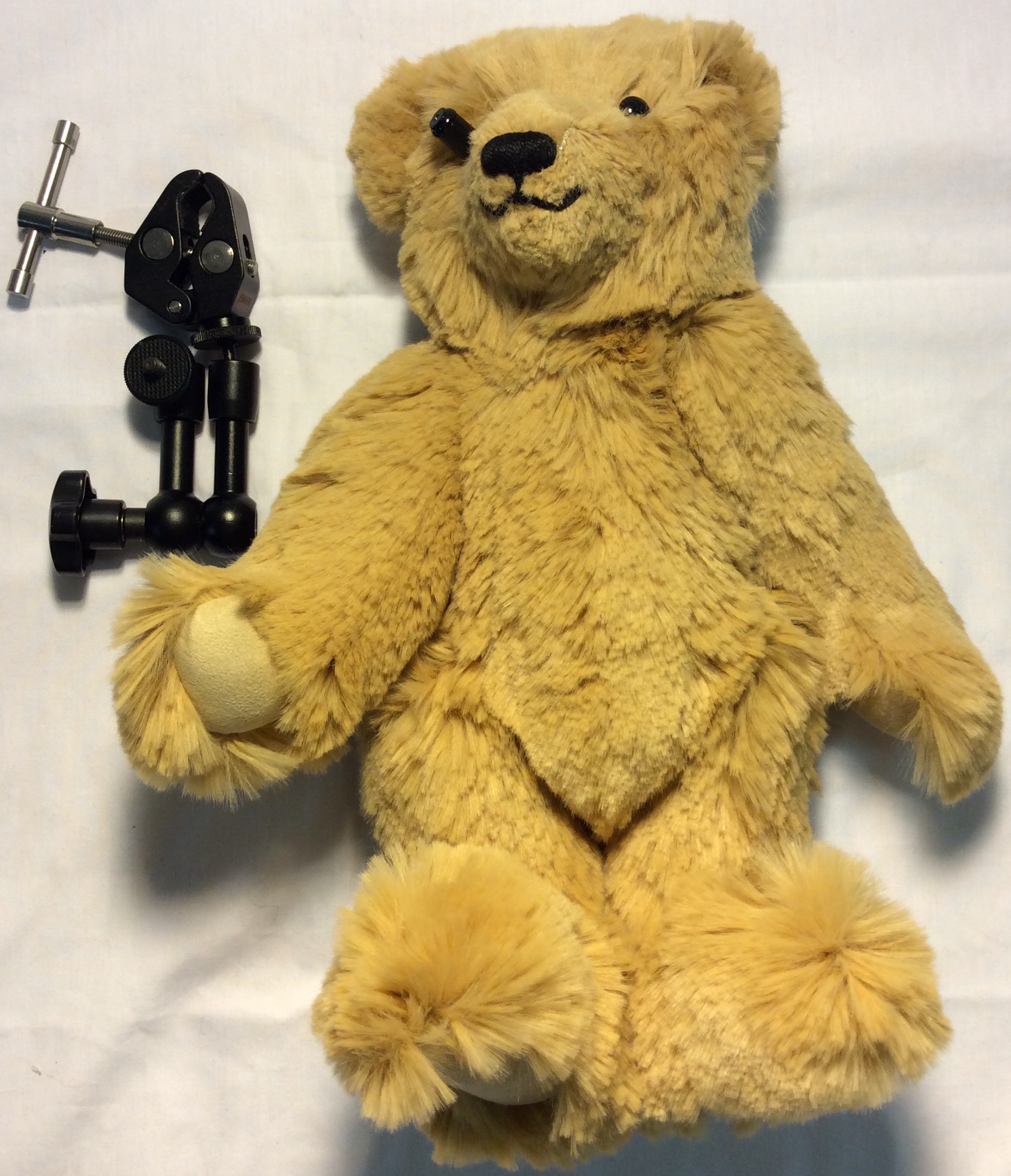 Teddy Bear security camera