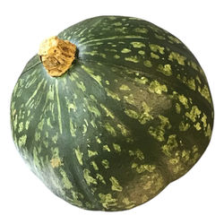 Rubber Green Kobocha Squash
