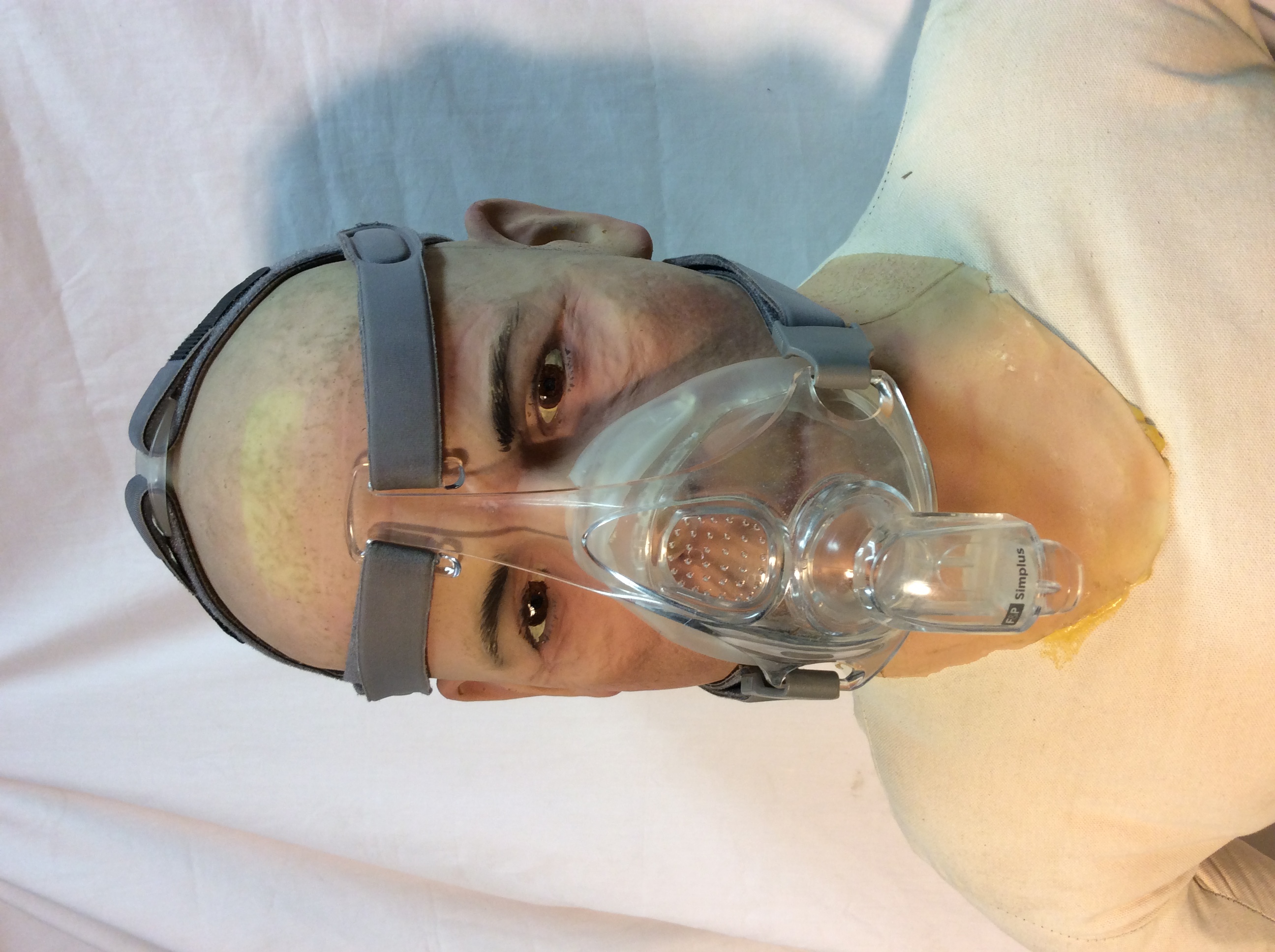 F&P Nose and Mouth Mask