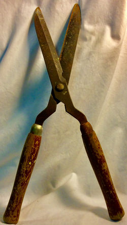 Garden hedge shears worn red wood handles