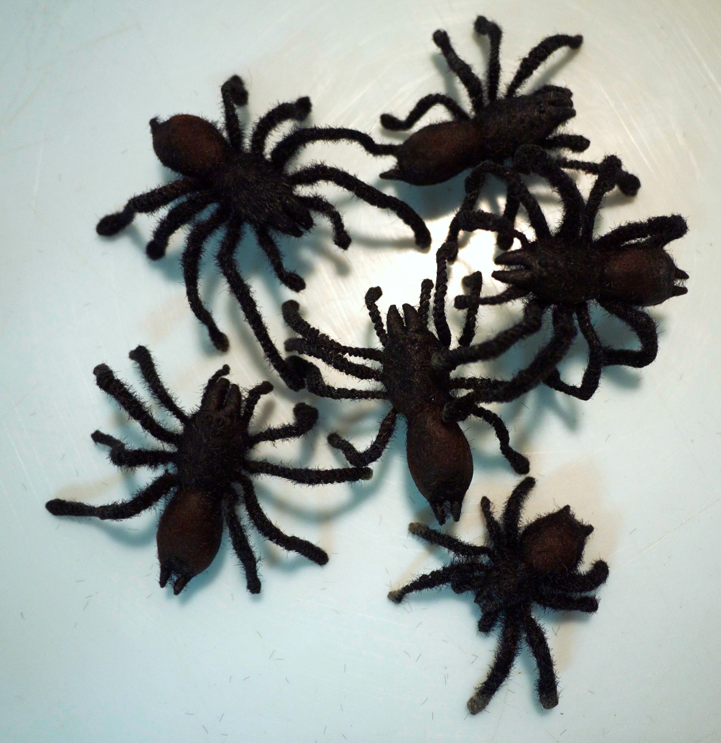 Spiders
