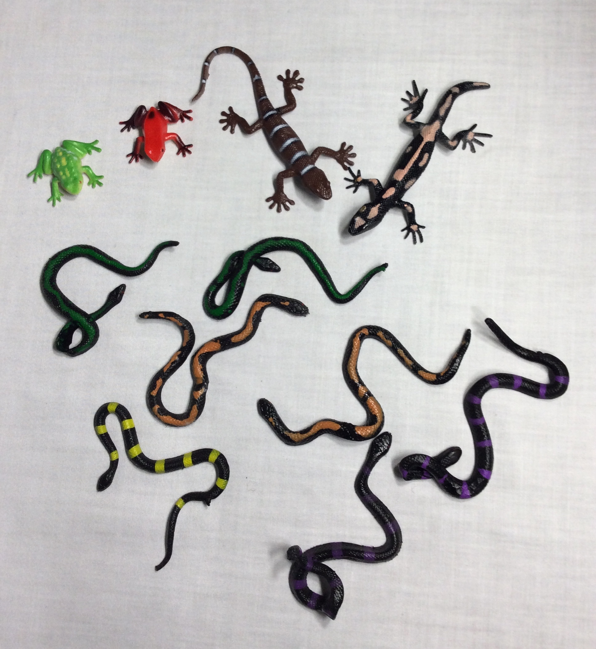 Snakes, frogs, lizards