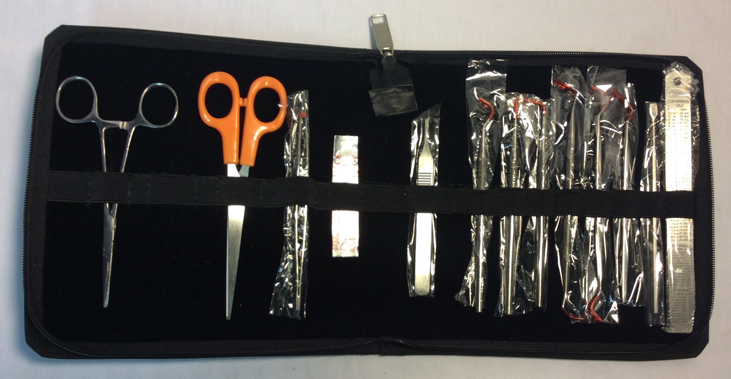 Black Zippered kit with dental tools