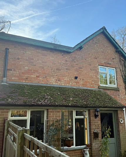 moss clearance befroe 1.jpeg