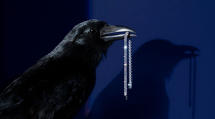 Aigle noir tenant un bracelet en diamants dans son bec sur fond bleu profond