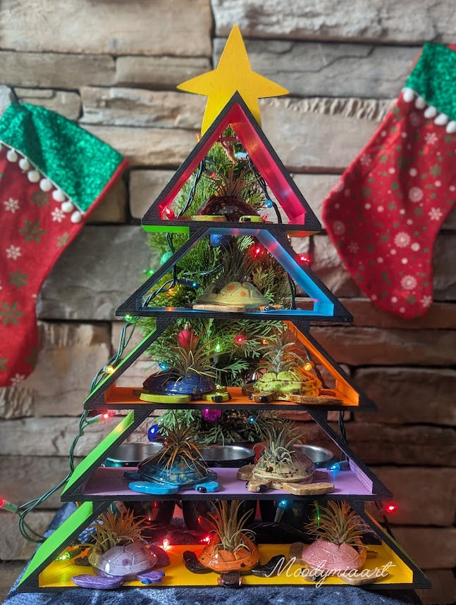 InShot_20241221_150901786