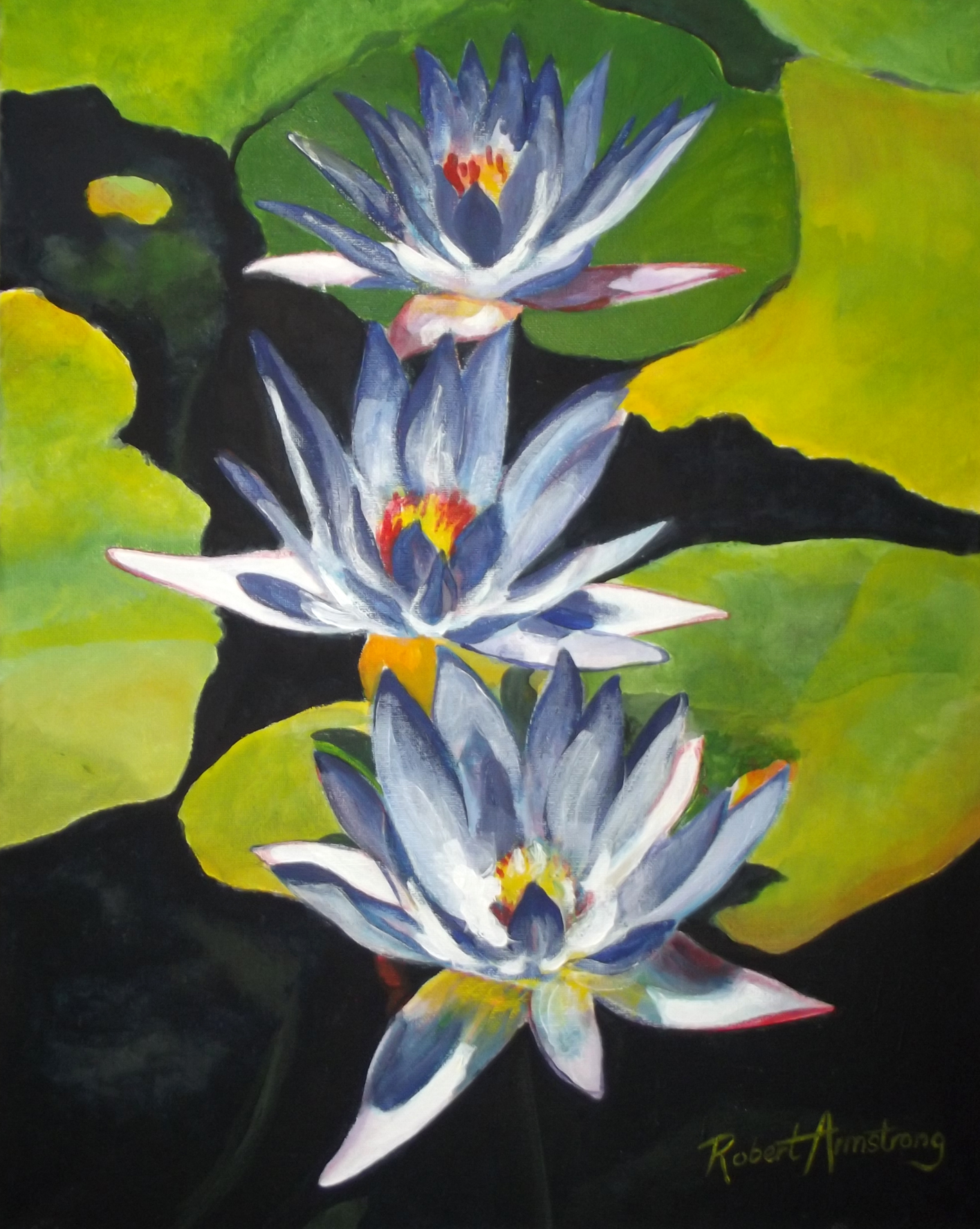 Pond Flowers