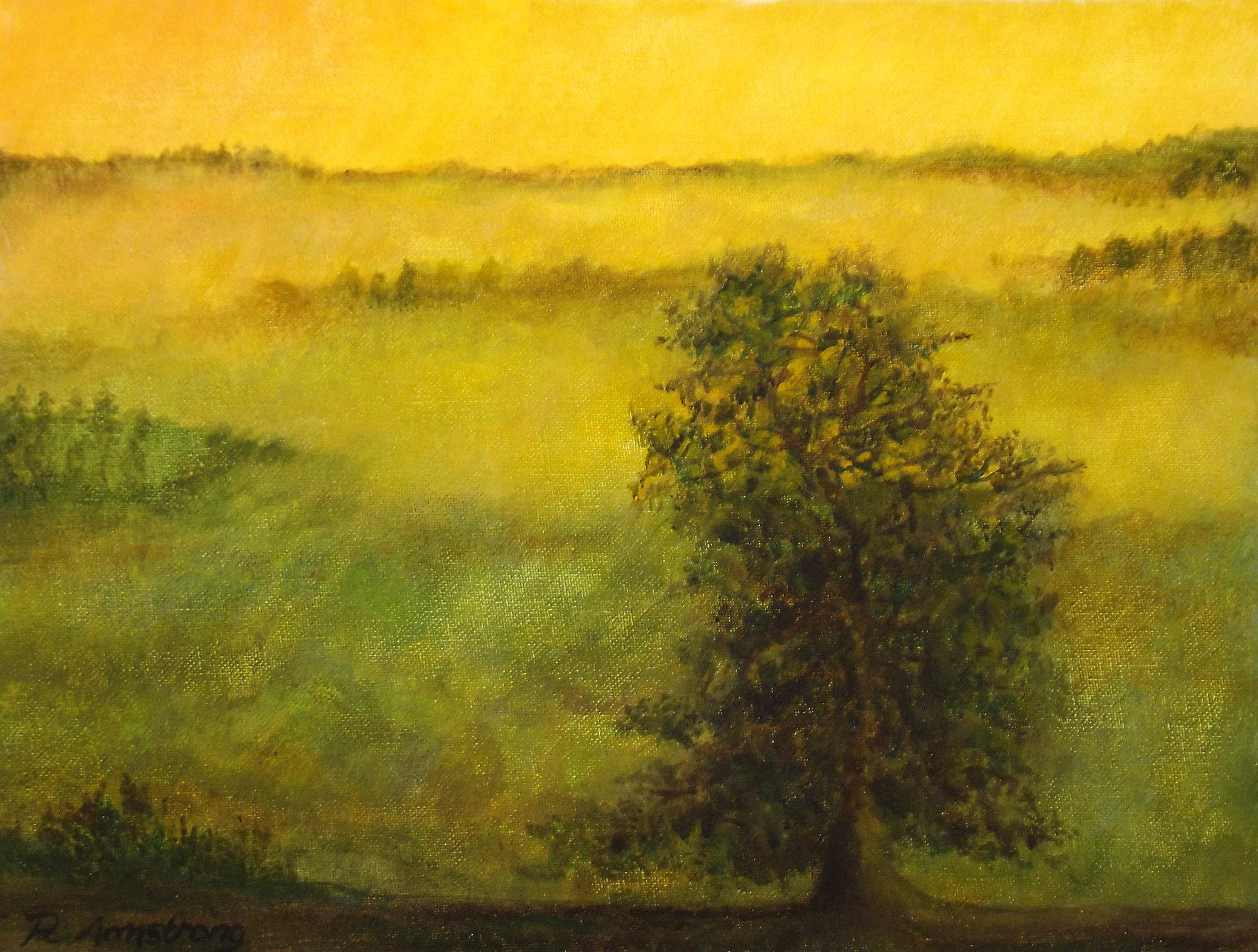 Tree in Yellow Mist