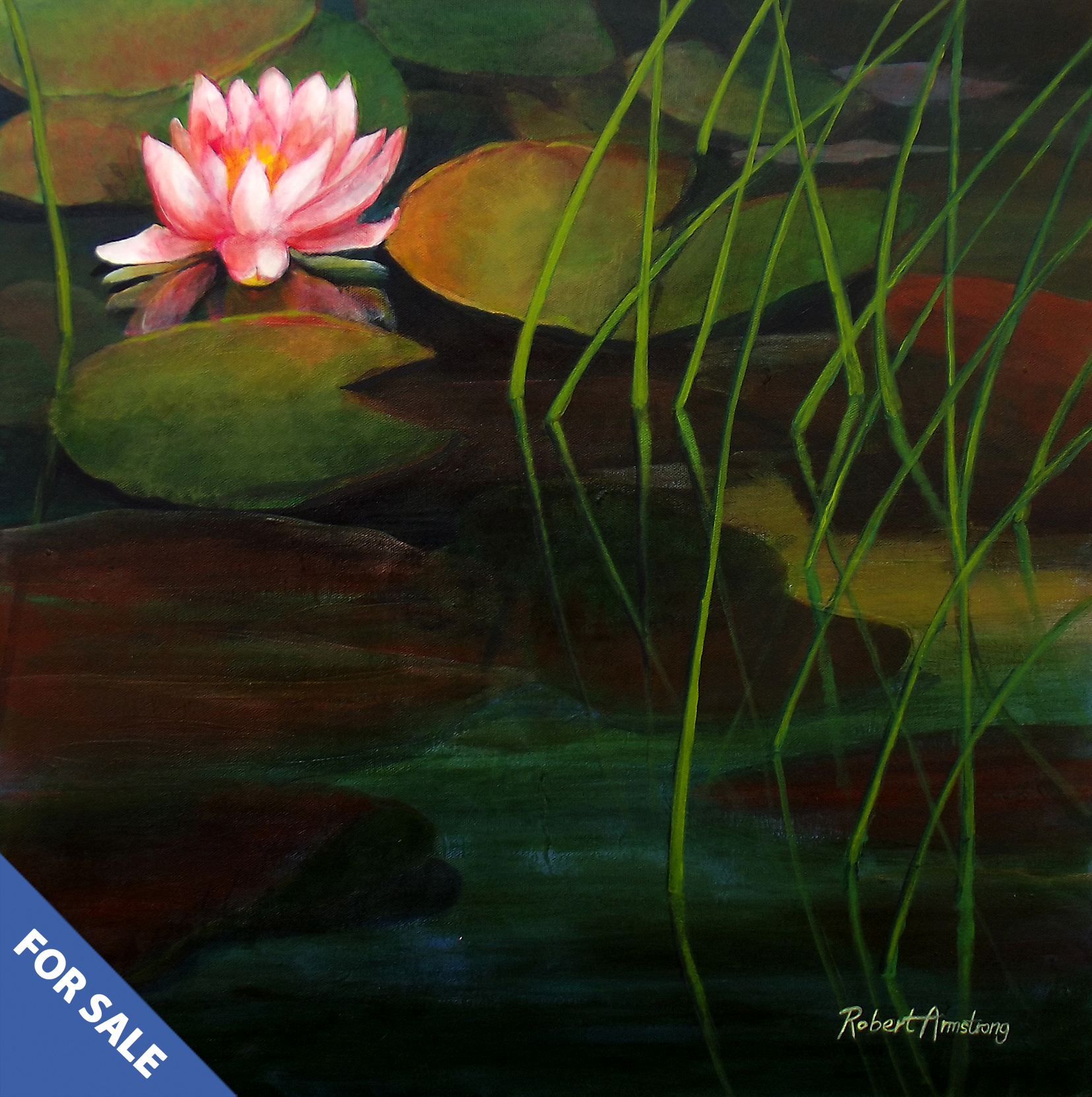 Pond with Water Lily
