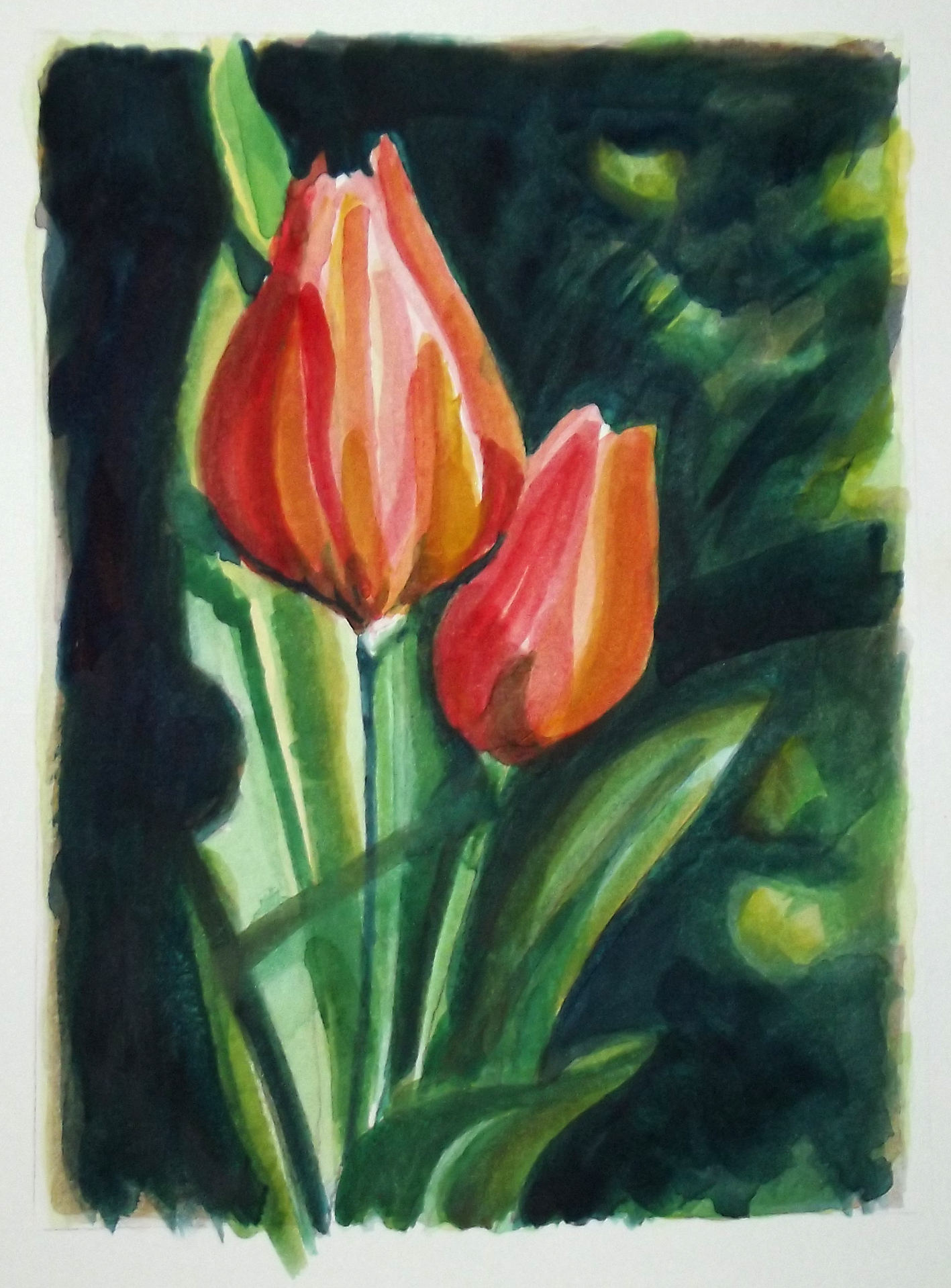 Tulips