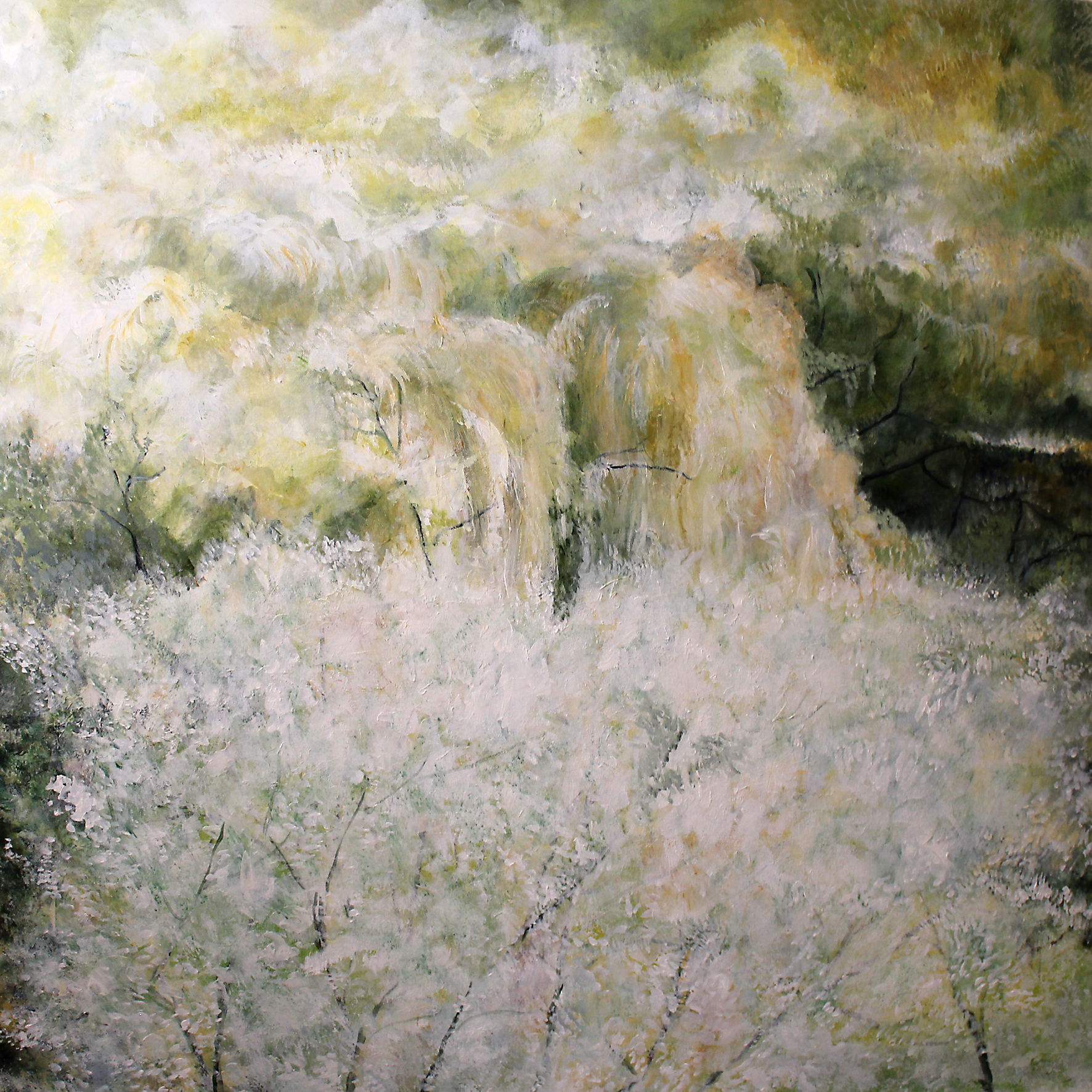 Winter Willows