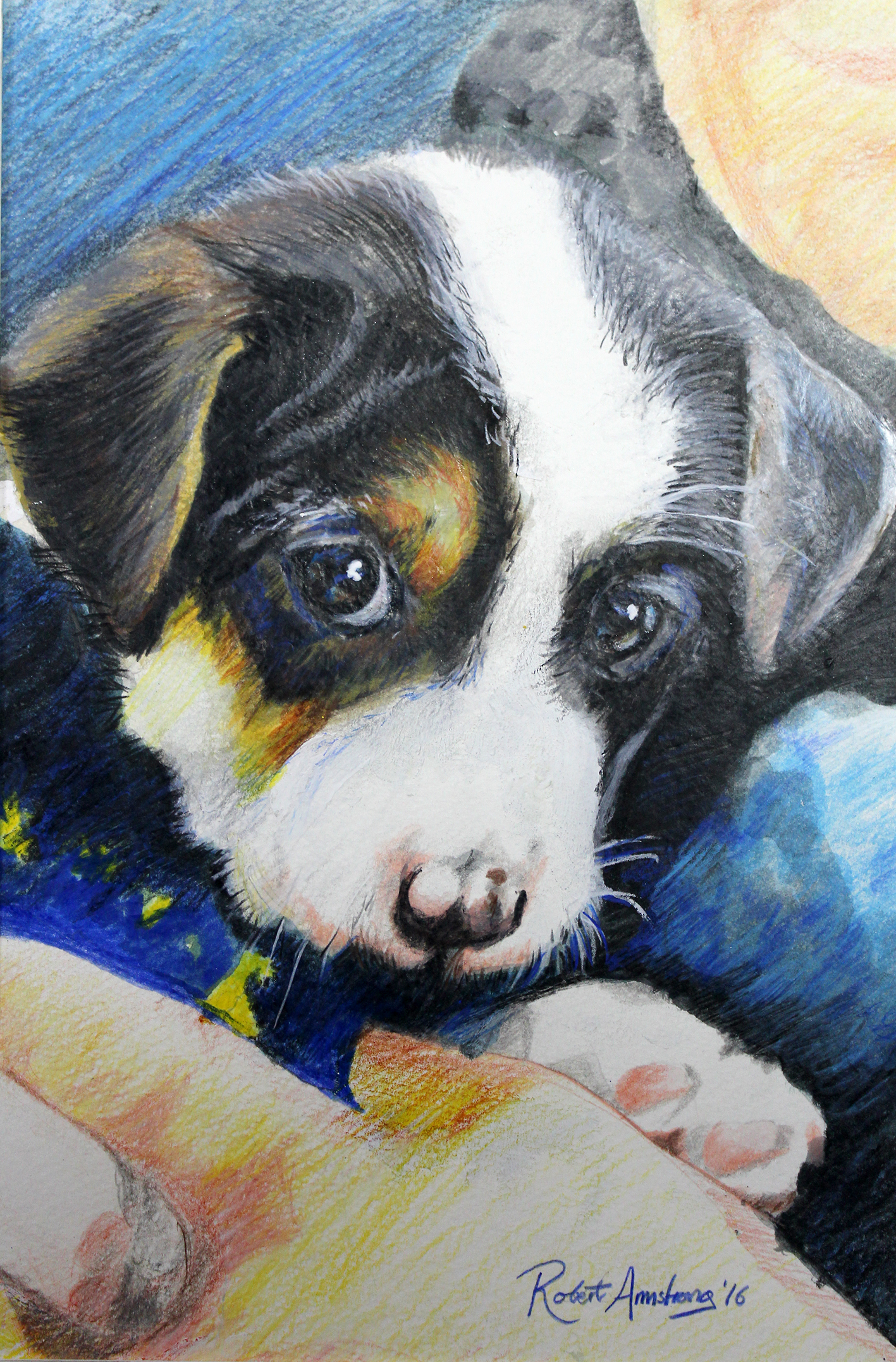 Cuca Puppy