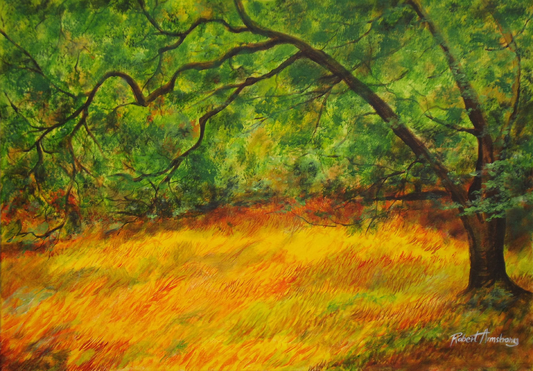 Forest Clearing