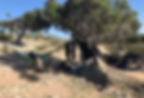 Miniaturbild: 4x4 Surftour in Südmarokko