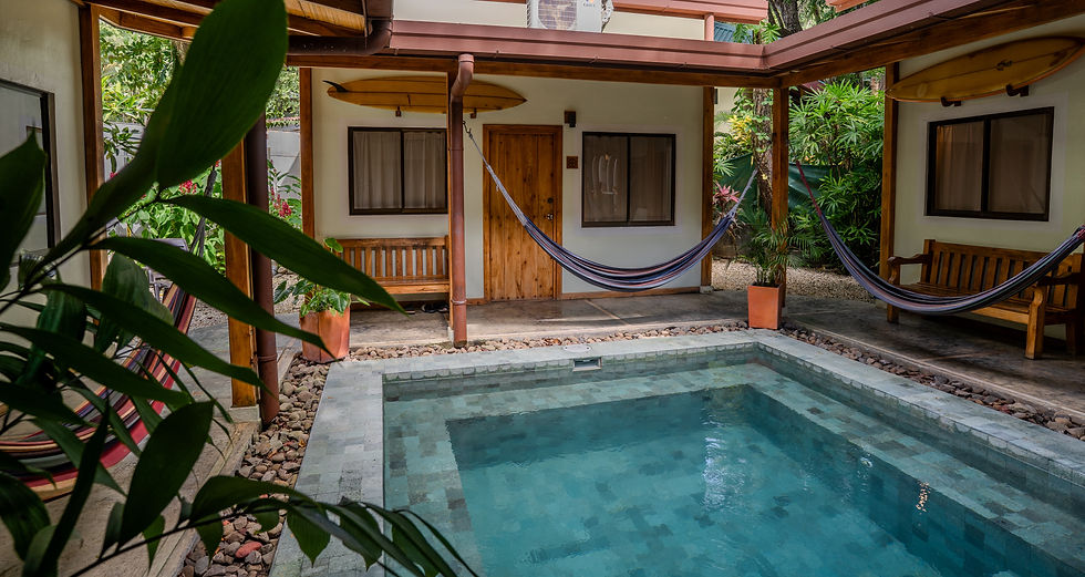 Zopilote Surfcamp Pool