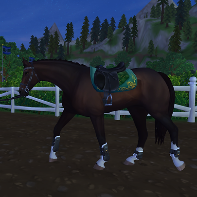 horse-4100412_1280.png
