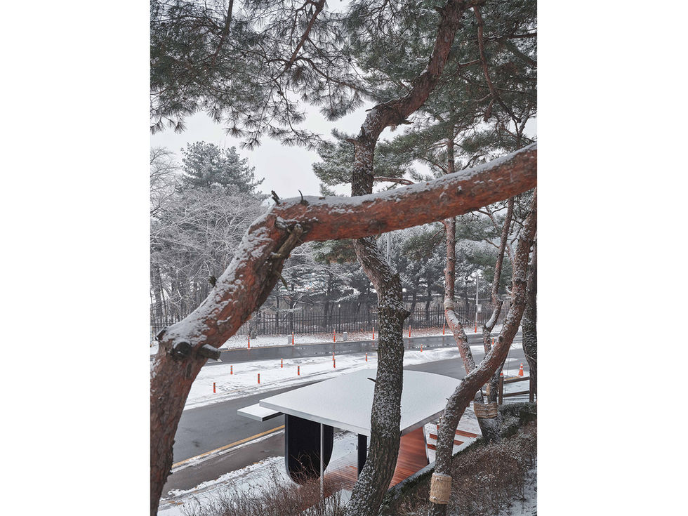 DT_(   ) function (11).jpg