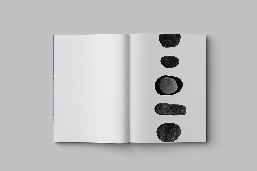 Thumbnail: Drifting Stones : book ~