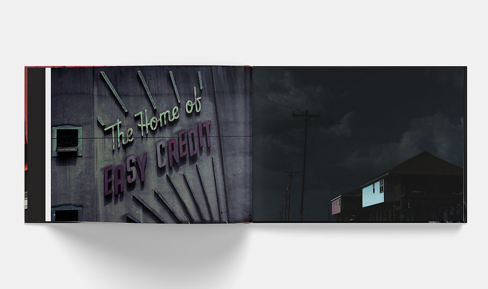 Thumbnail: Shadow's Praise : book + vinyl ~