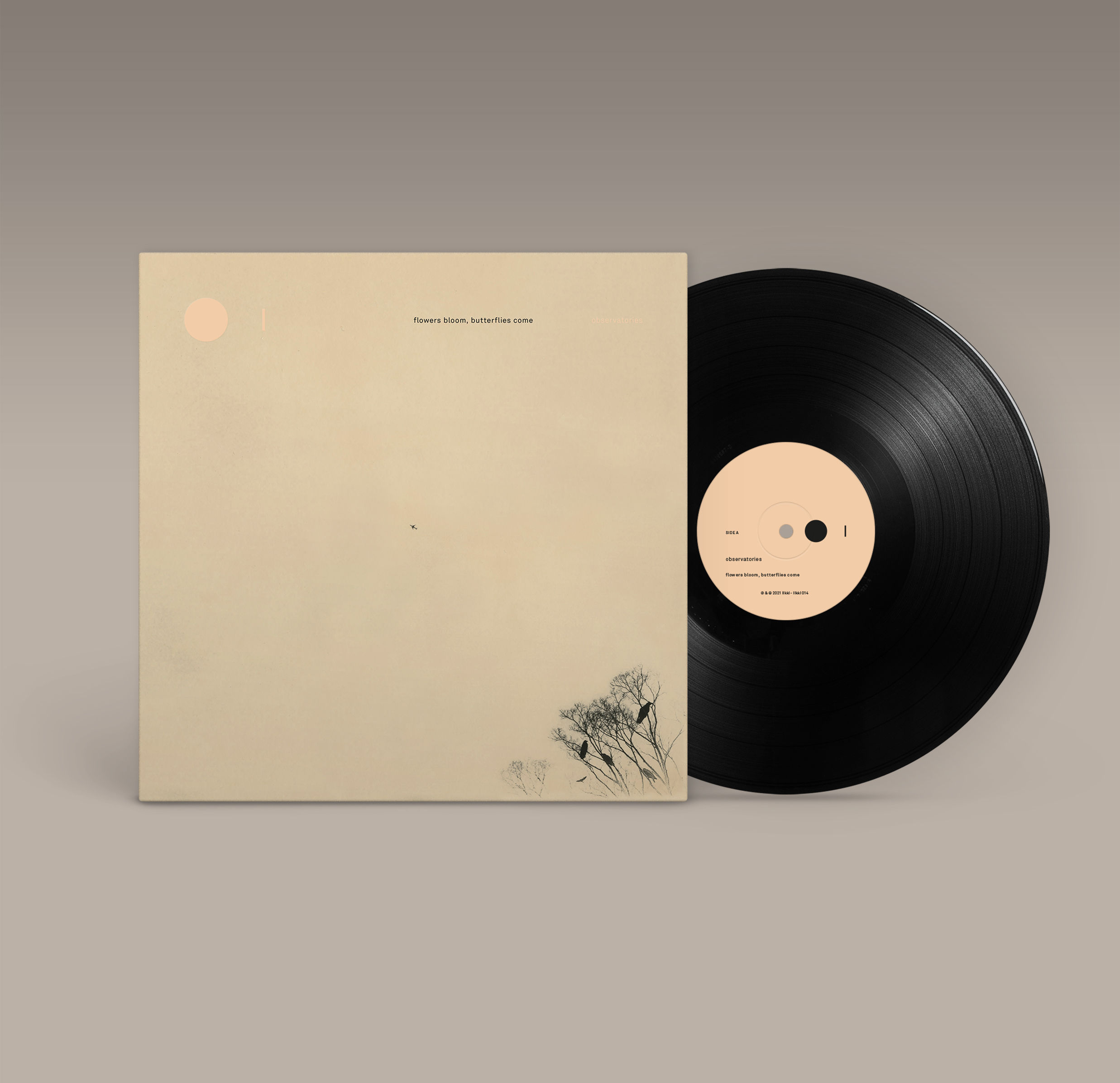 Flowers Bloom, Butterflies Come : vinyl ~