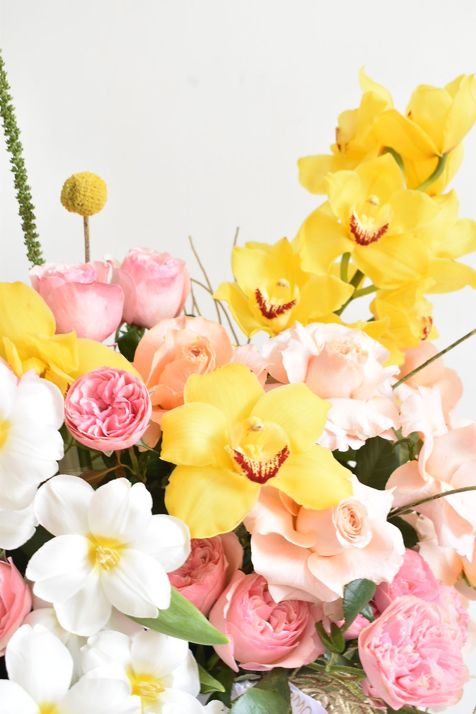 Miniatura: Bright Blooms