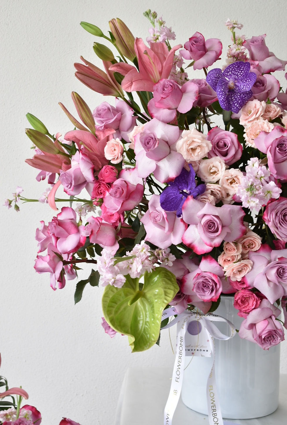 Miniatura: Stella Deluxe