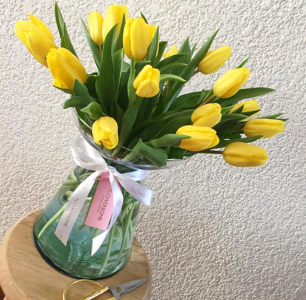 Miniatura: 20 Tulipanes