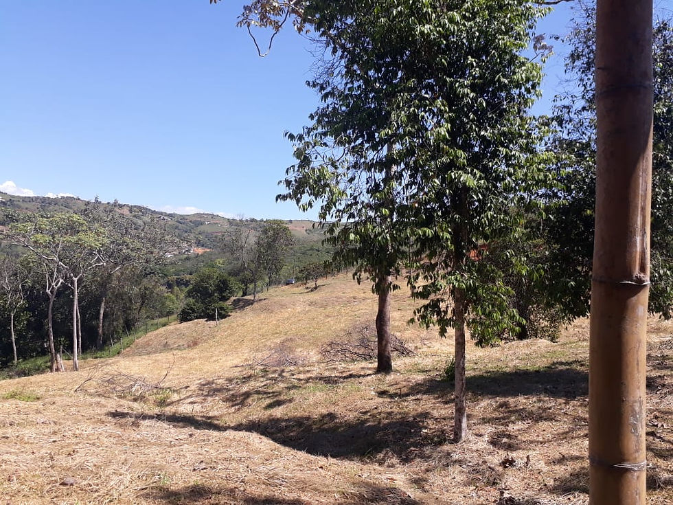 Miniatura: Lote Rio Claro