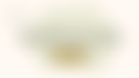 Atividade Empresarial no Brasil: Uma análise dos tipos societários