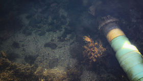 Beyond bribes and sabotage: building a credible defence against Russia