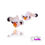 Thumbnail: Wyoming White Clownfish (Pair)