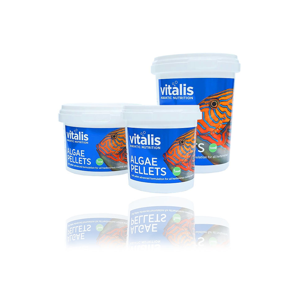 Vitalis Marine Algae Pellet XS Fish Food