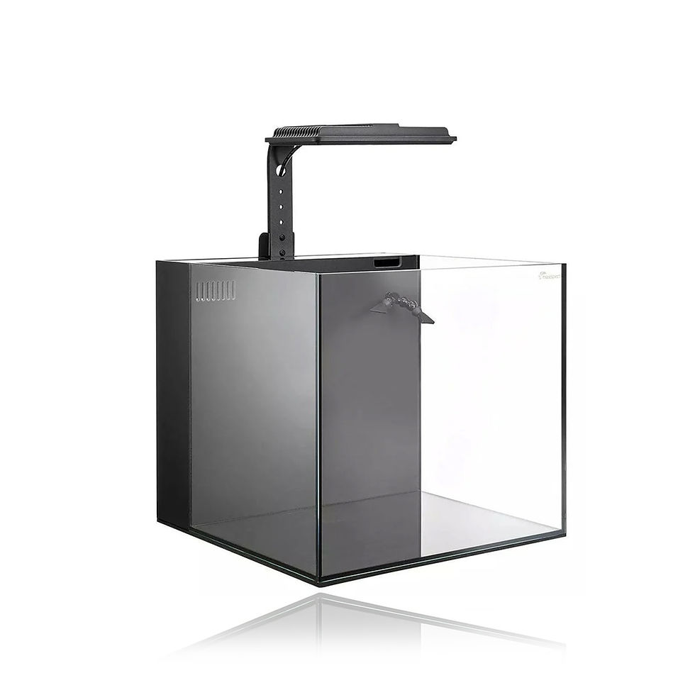 Maxspect Dice AIO Reef Aquarium & MJ-L130 Light