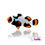 Thumbnail: Onyx Picasso Clownfish (Single)