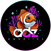 AdzAquatics