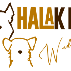 Logo halaken wedding