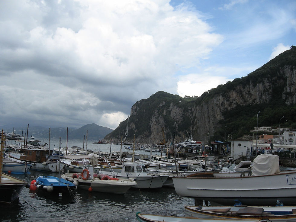 The Sorrento Port 2010
