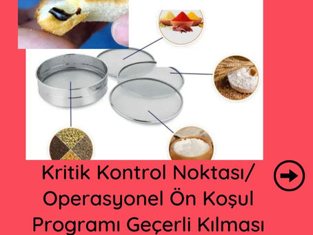 BRCGS ve FSSC 22000 denetimlerinde yaygın olarak görmüş olduğum uygunsuzluklar
