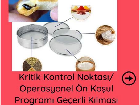 Kritik Kontrol Noktası /Operasyonel Ön Koşul Programı Geçerli Kılması (Validasyonu) Yaptınız mı?