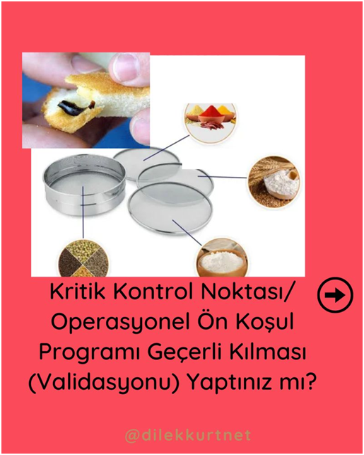 Kritik Kontrol Noktası /Operasyonel Ön Koşul Programı Geçerli Kılması (Validasyonu) Yaptınız mı?