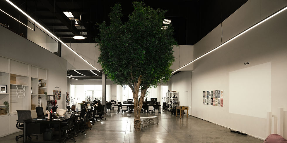 Main Photo Cropped V3 (1).jpg