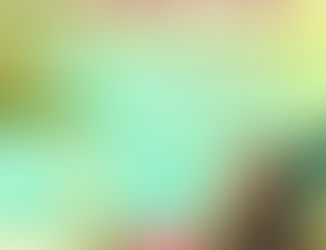 Guest Post: Lilac Mills